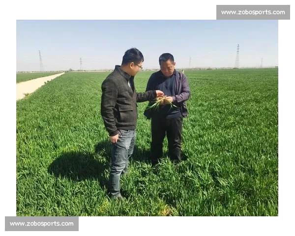 乔迪力证王钰栋留洋实力 浙江沃土更需深耕