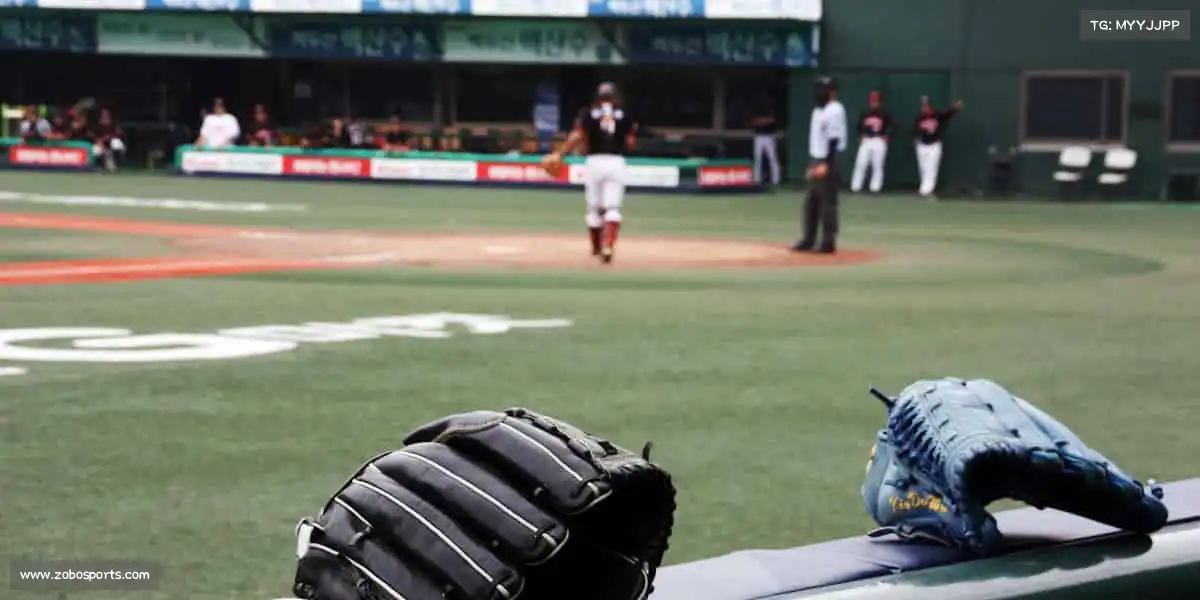 为什么选择我们